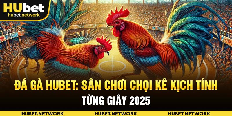 Đá Gà HUBET: Sân Chơi Chọi Kê Kịch Tính Từng Giây 2025