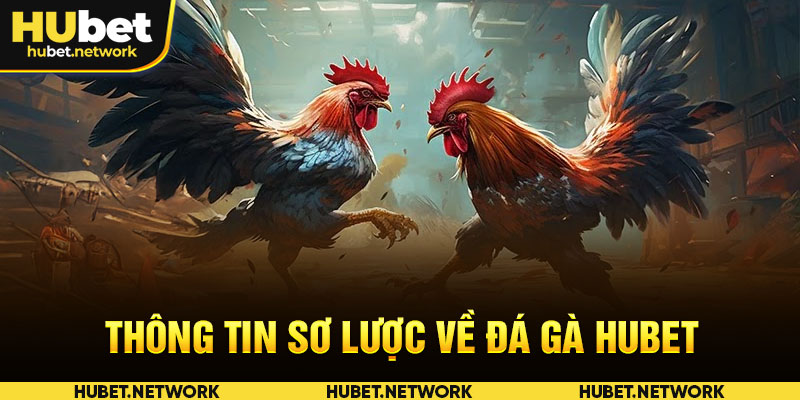 Thông tin sơ lược về đá gà HUBET