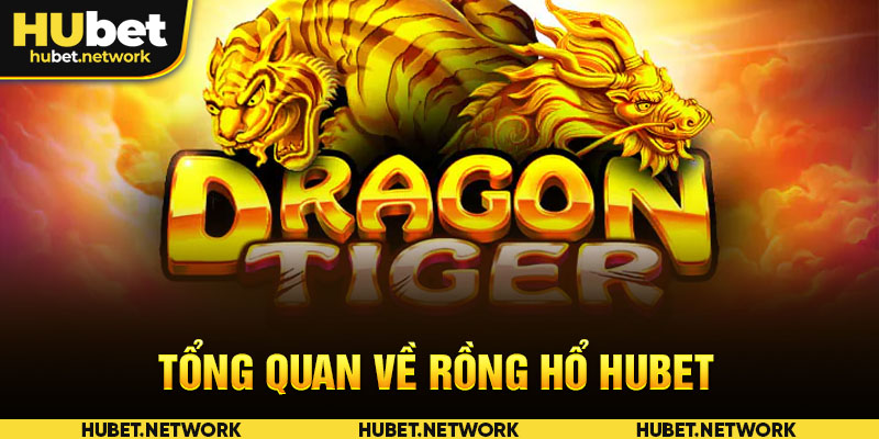 Tổng quan về rồng hổ HUBET