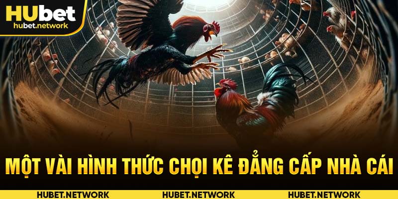 Một vài hình thức chọi kê đẳng cấp nhà cái