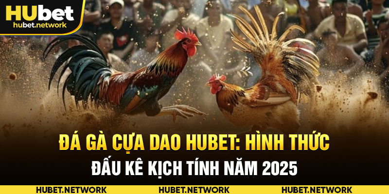 Đá Gà Cựa Dao HUBET: Hình Thức Đấu Kê Kịch Tính Năm 2025