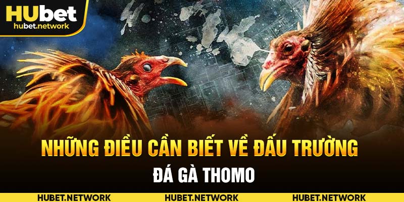 Những điều cần biết về đấu trường đá gà Thomo 