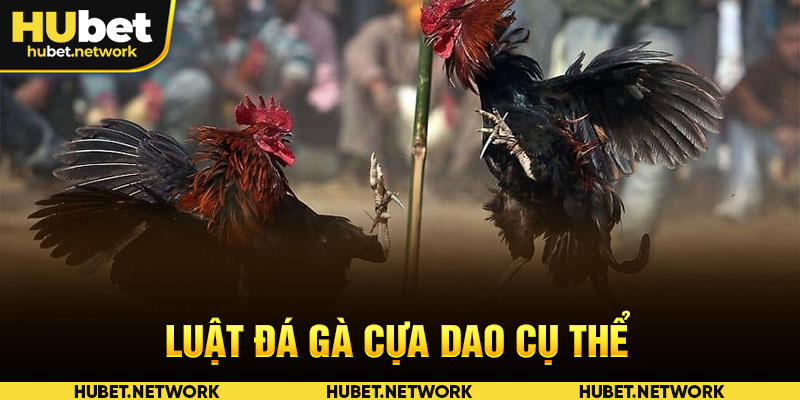 Luật đá gà cựa dao cụ thể