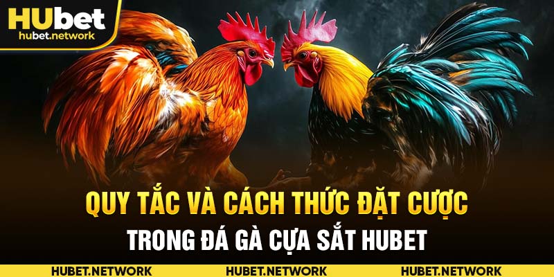 Quy tắc và cách thức đặt cược trong đá gà cựa sắt HUBET