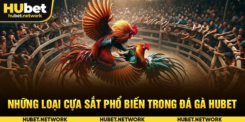 Các hình thức cá cược trong chọi gà cựa sắt